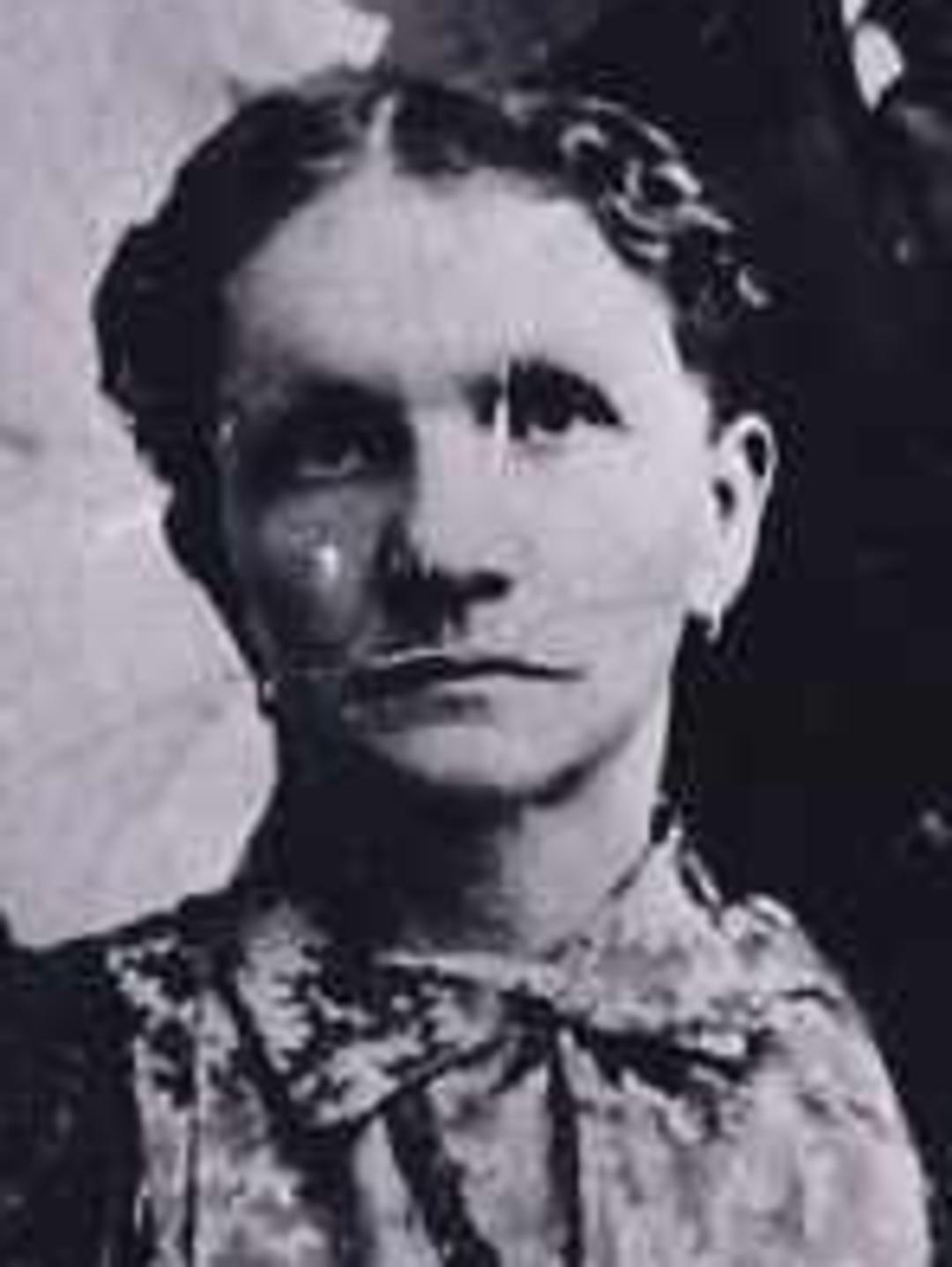 Elizabeth Ann Andrews (1846 - 1915) Profile